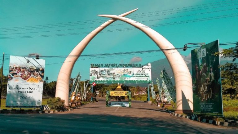 Pengalaman Liburan di Taman Safari - Mas Mufid Store