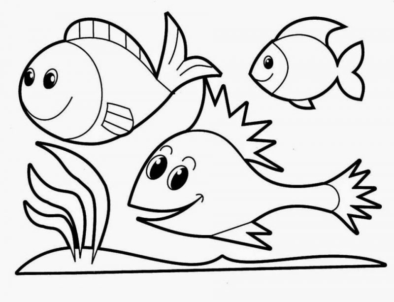Cara Menggambar Ikan Hias
