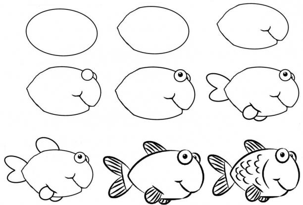 Cara Menggambar Ikan Hias