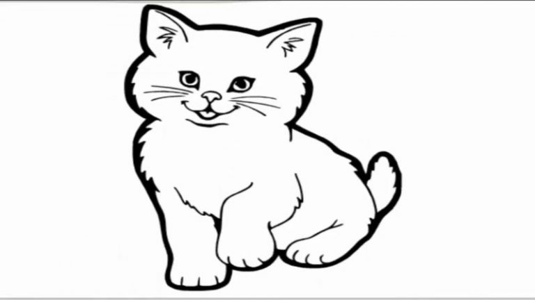 Cara Menggambar Kucing Lucu Hewan Terlengkap Sketsa Kucing Terbaru