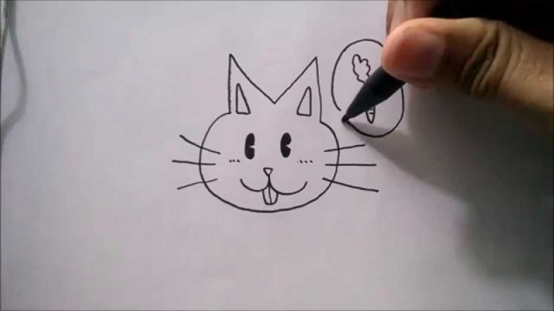 Cara Menggambar Kepala Kucing