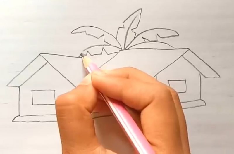 Cara Menggambar Pohon Di Belakang Rumah