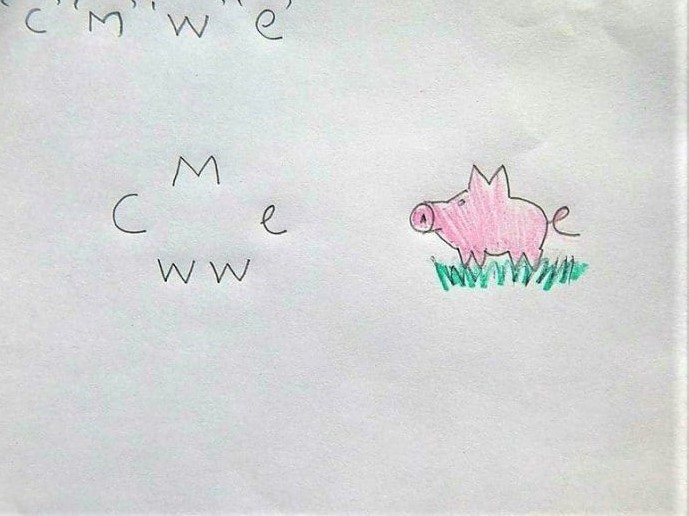 Cara Menggambar Babi Dengan Huruf C M W Dan E