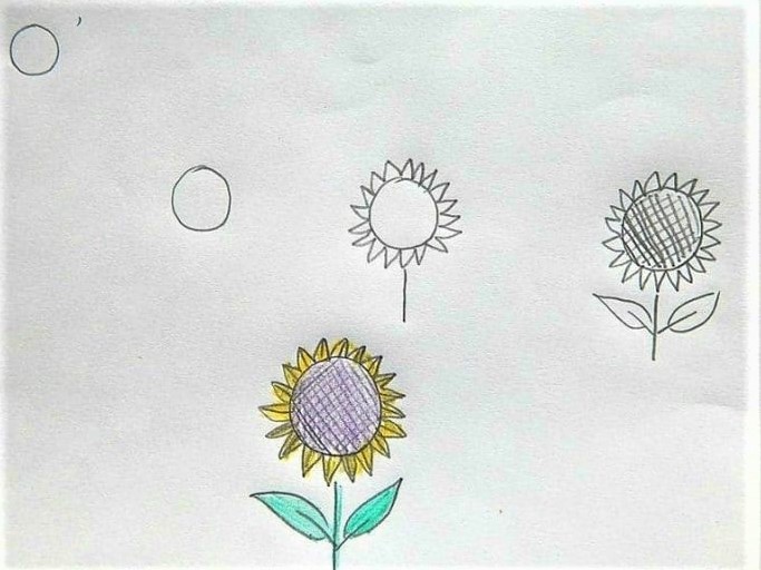 Cara Menggambar Bunga Matahari Dengan Huruf O 