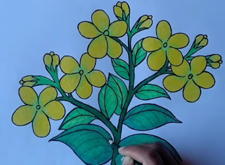 Cara Menggambar Bunga Melati
