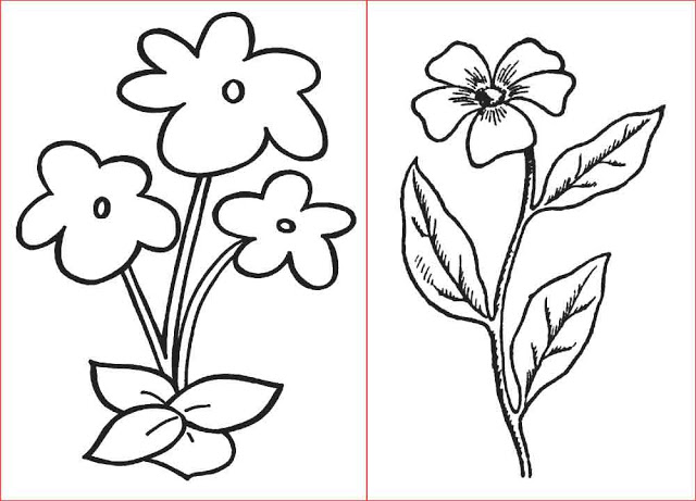 Cara Menggambar Bunga Sederhana
