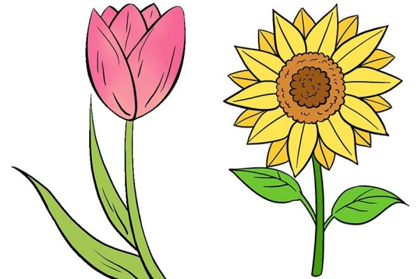 Cara Menggambar Bunga Yang Indah